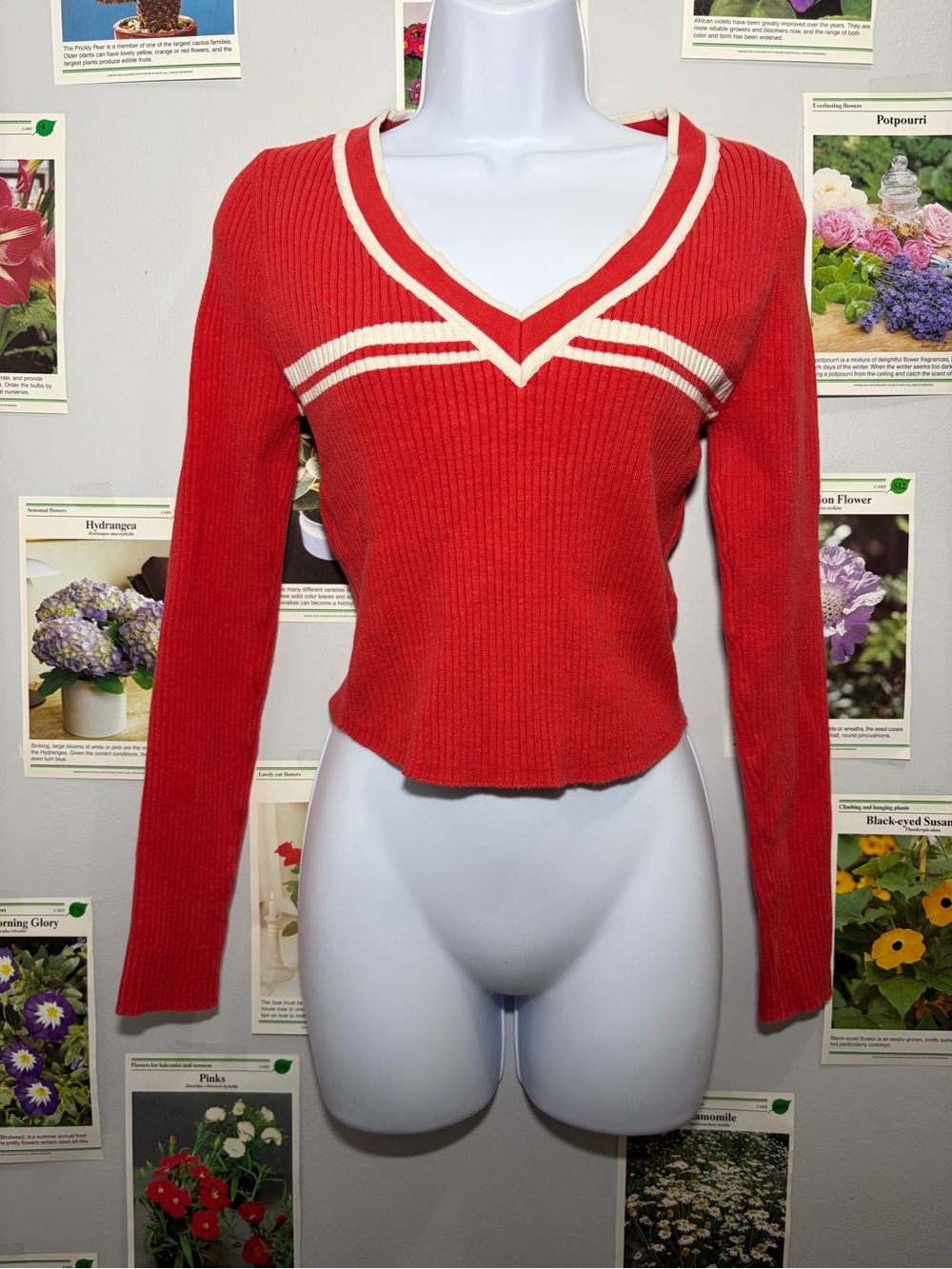 BDG Red Ribbed V-Neck Sweater with Cream Trim